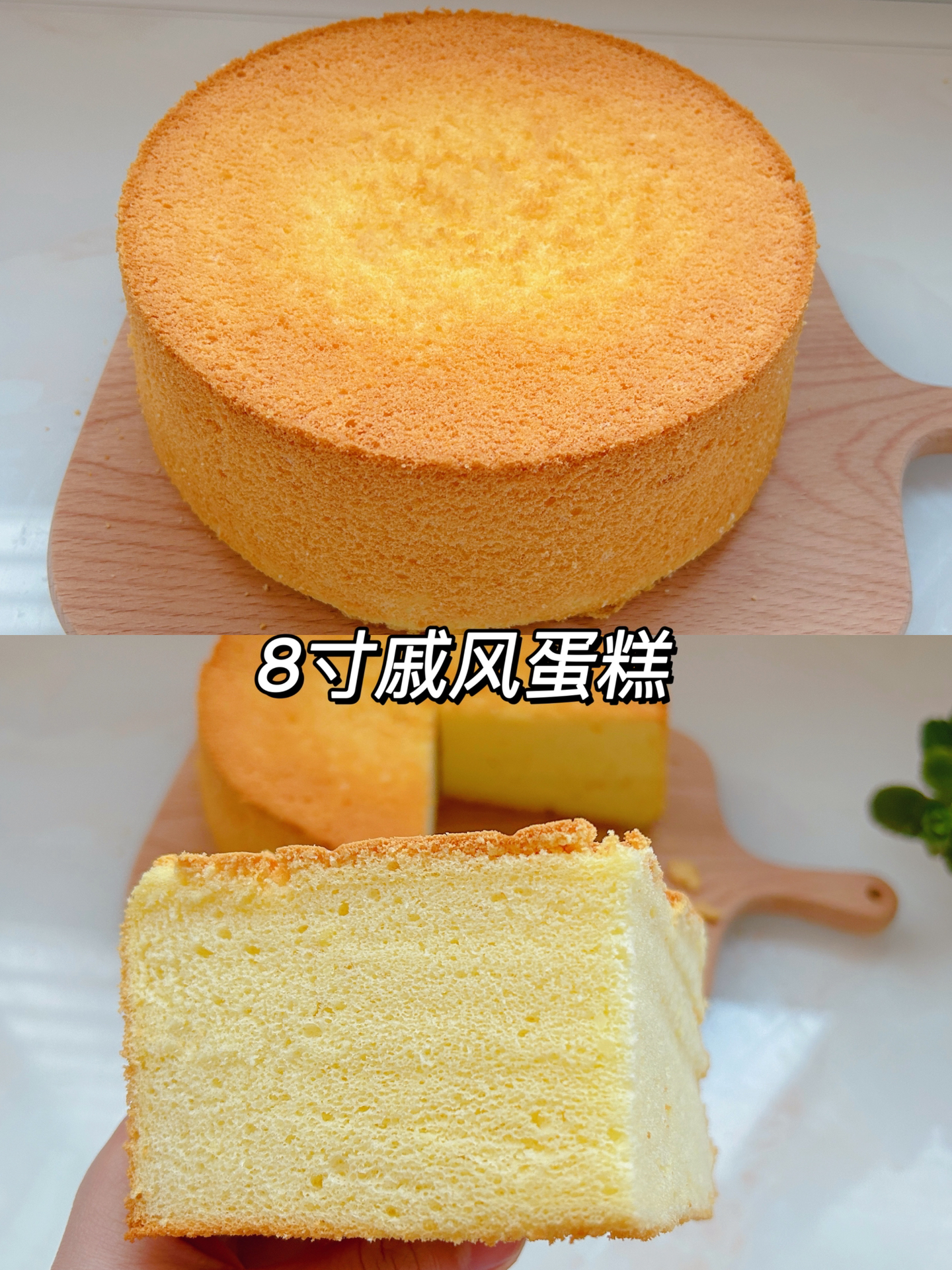 8寸戚风蛋糕不塌陷、不回缩,新手一次成功