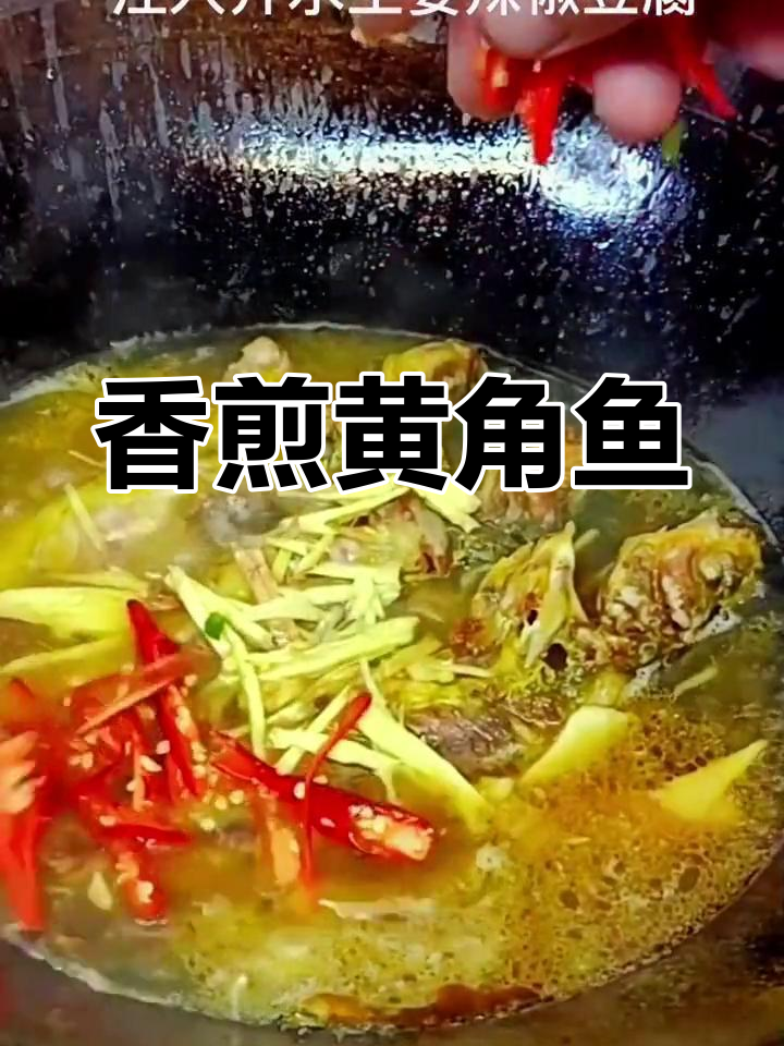 黄角鱼焖豆腐,汤汁浓郁肉质嫩滑