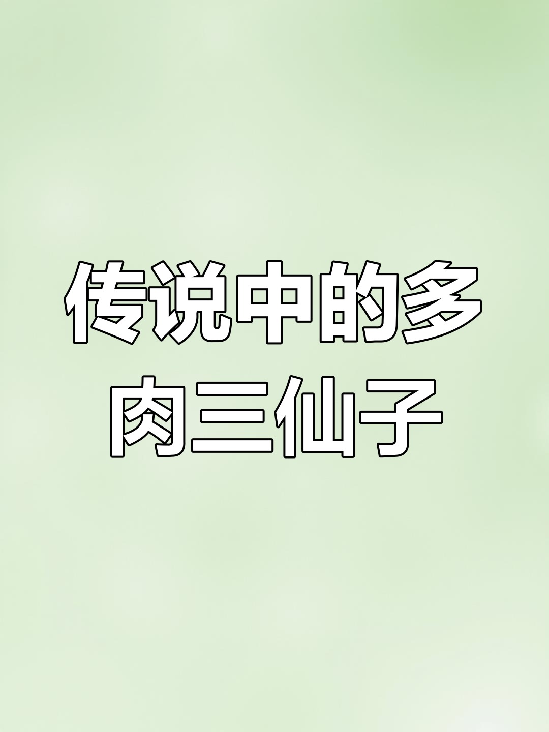 多肉三仙子揭秘:广寒宫、晚霞与蓝光的美丽传说