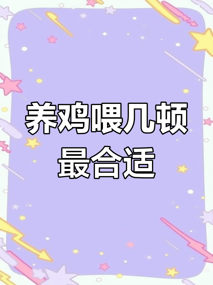 肉鸡养殖喂料频率大揭秘,如何科学管理?