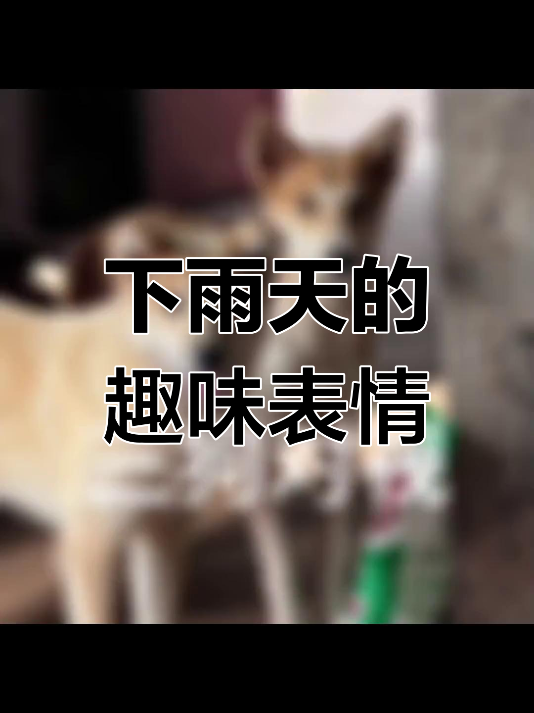 兄弟,今天下雨了!快来看看这些搞笑表情包