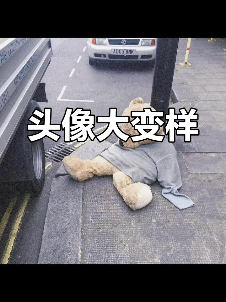 小熊头像告别,明天换新风格!