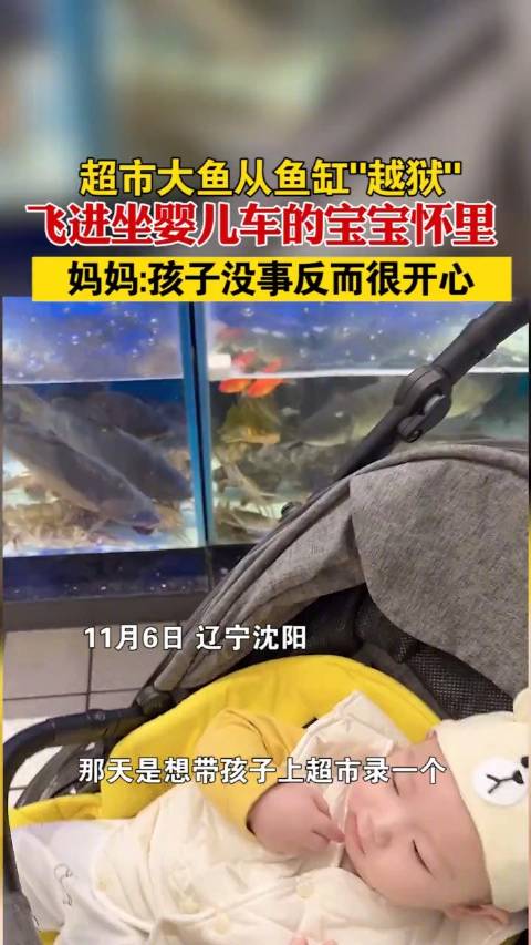 「超市大鱼越狱精准跳进宝宝怀里 妈妈:孩子没事反而很开心」11月6日。辽宁沈阳。贾女士带6
