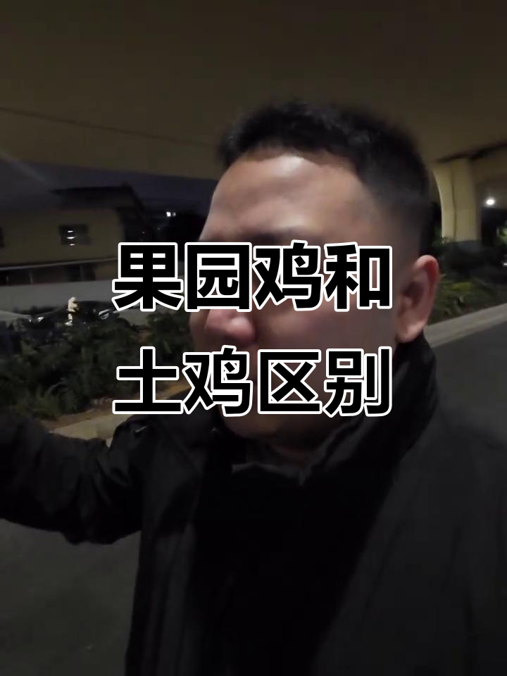 土鸡与果园鸡到底有啥不同?你了解吗