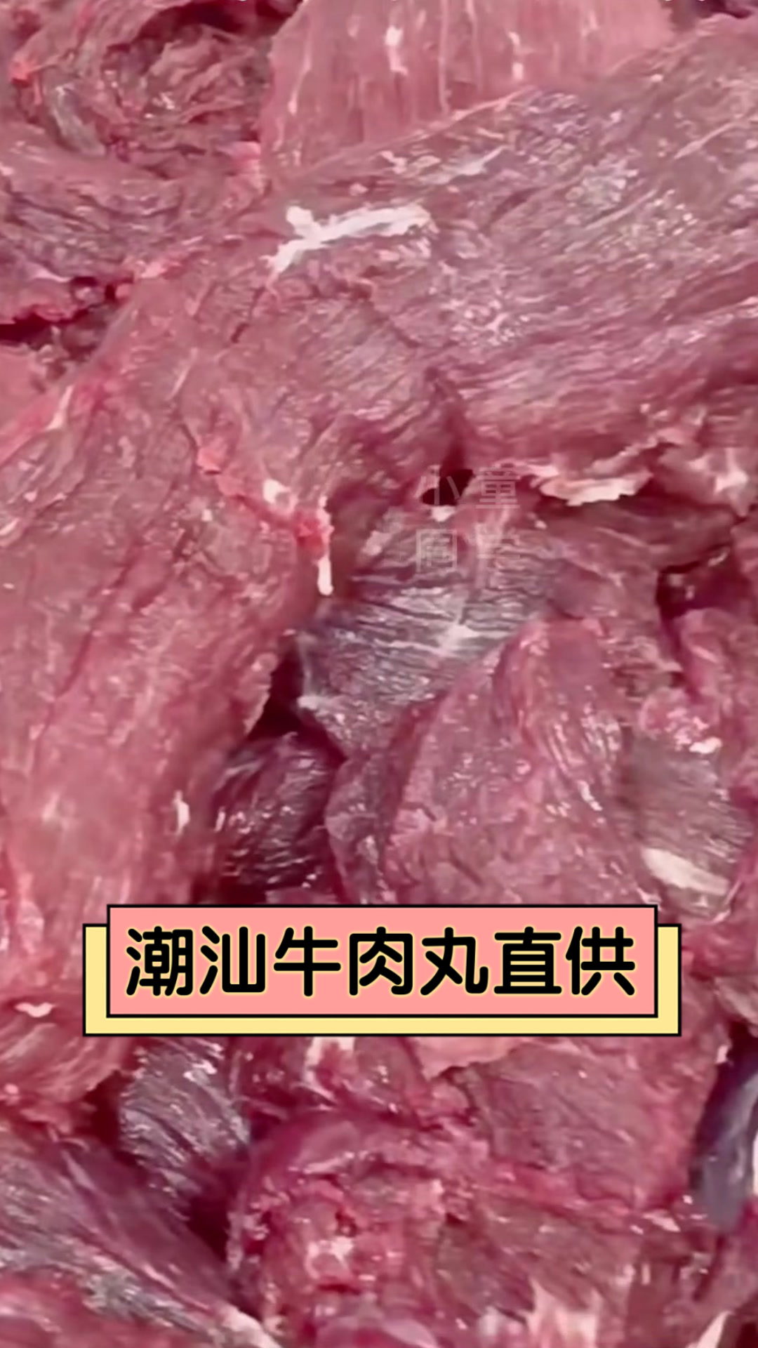 潮汕牛肉丸直供
