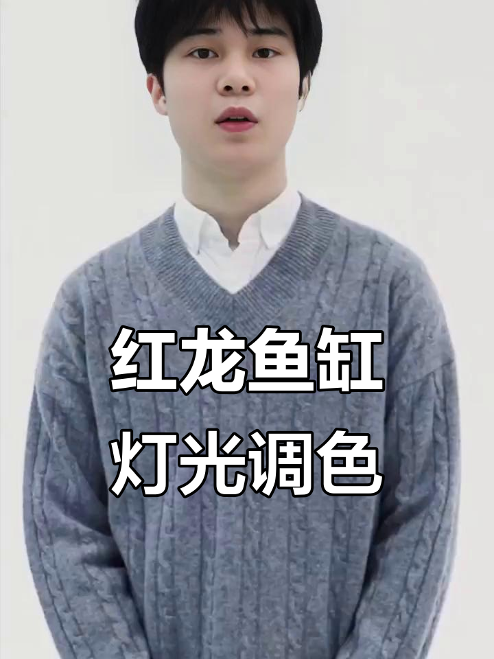 鱼缸增艳灯让红龙更亮眼,色彩搭配技巧大揭秘