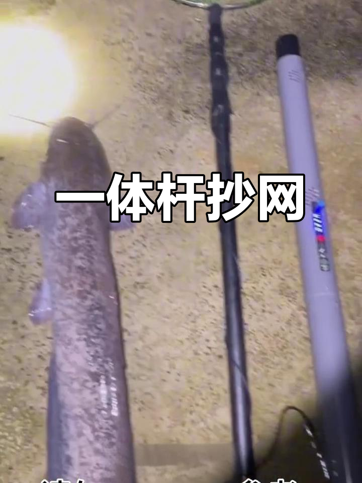 新能源一体杆抄网,轻松捕捞更高效