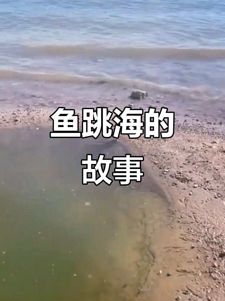 鱼跃大海,人生亦如此:勇敢前行与坚持的象征