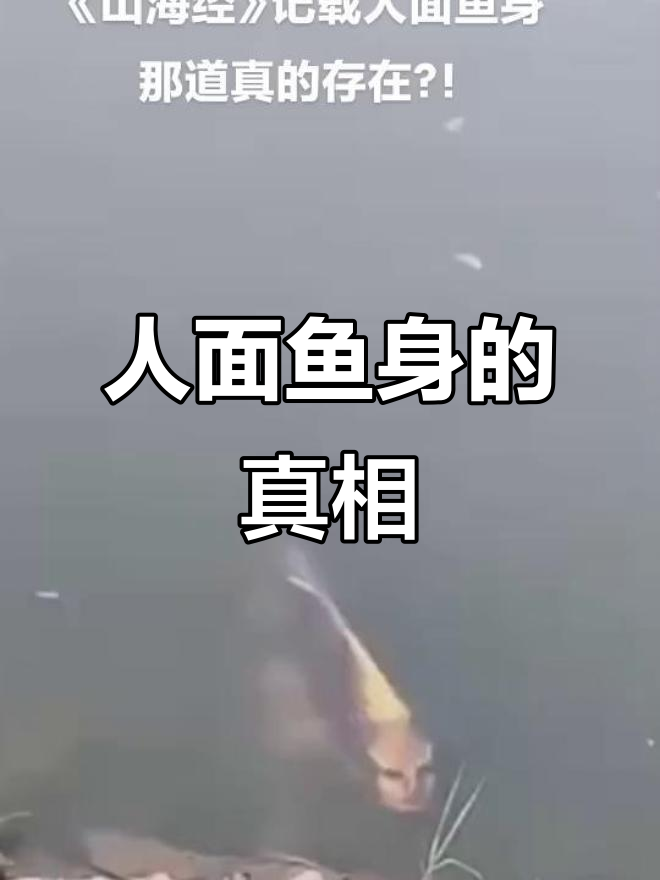 《山海经》中的人面鱼身,究竟是神话还是真实存在?