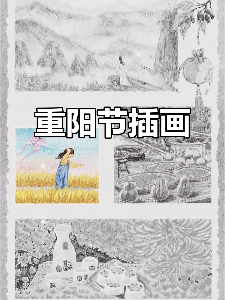 秋日重阳节插画,感受节日氛围