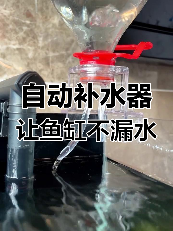 假期出门不怕鱼缸缺水,自动补水器让你安心无忧