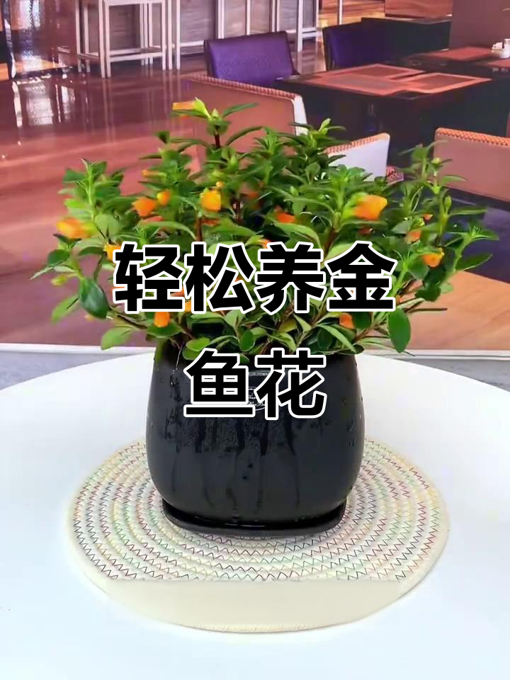 金鱼花:香气四溢的室内空气净化器,养护简单又美观