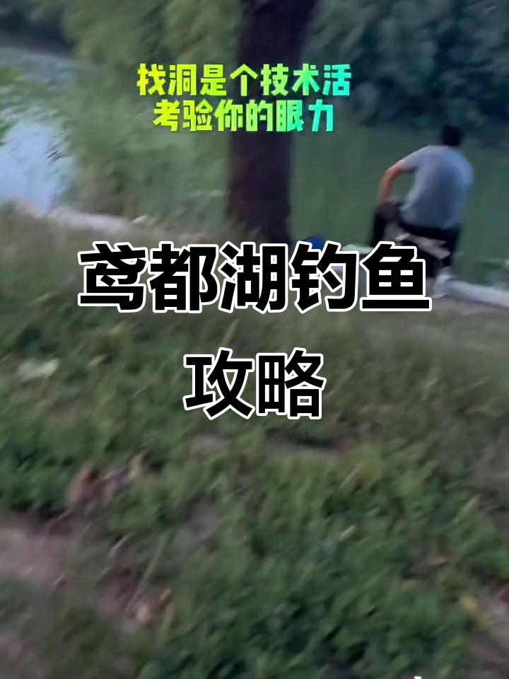 鸢都湖垂钓区抓节流龟,轻松休闲钓鱼路线