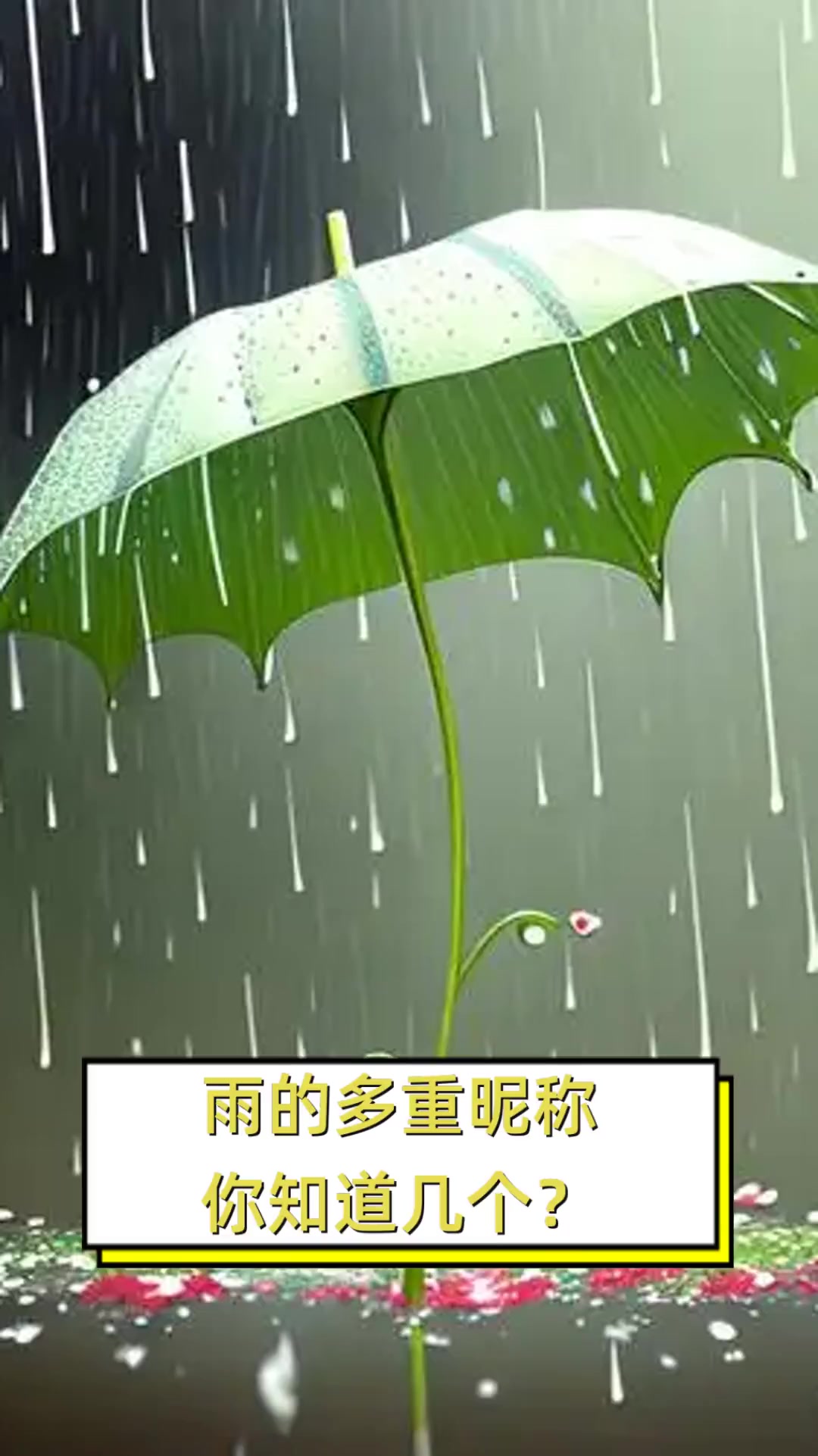 雨的多重昵称,你知道几个?