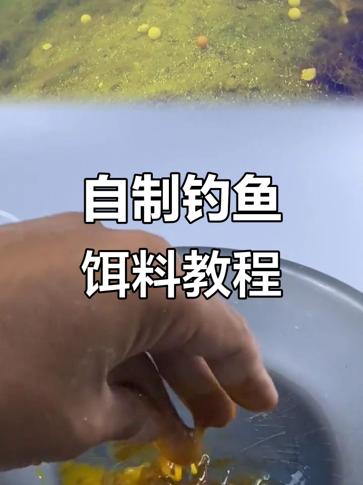 秋冬钓鲫鲤必备饵料，简单自制配方大揭秘