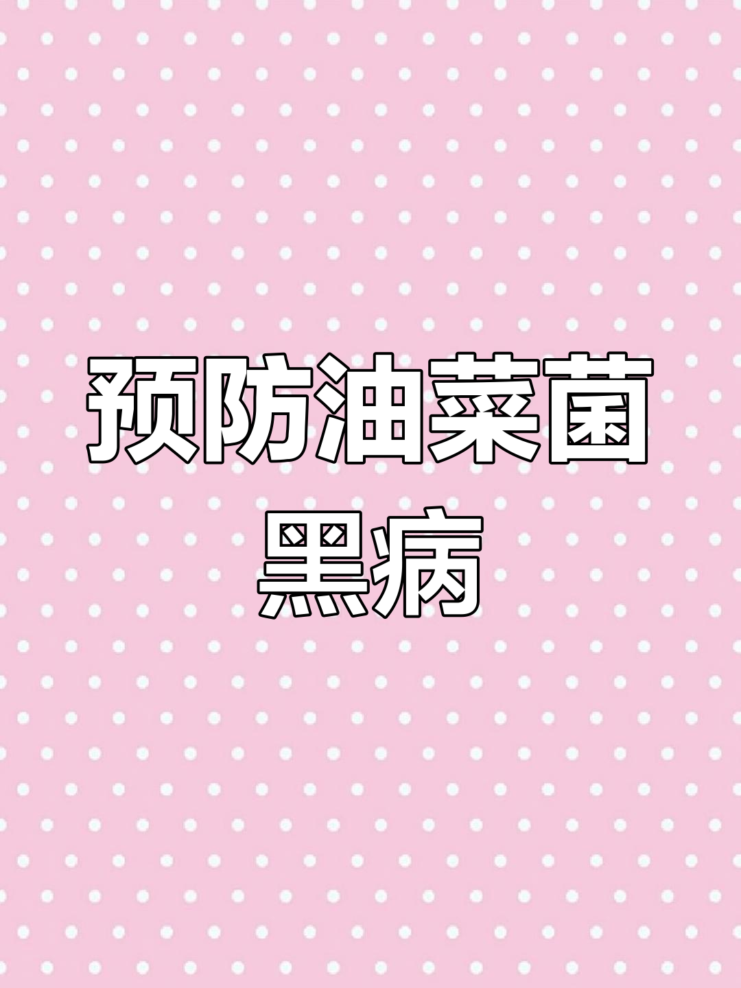 油菜菌核病防治技巧,注意这些细节避免病害爆发