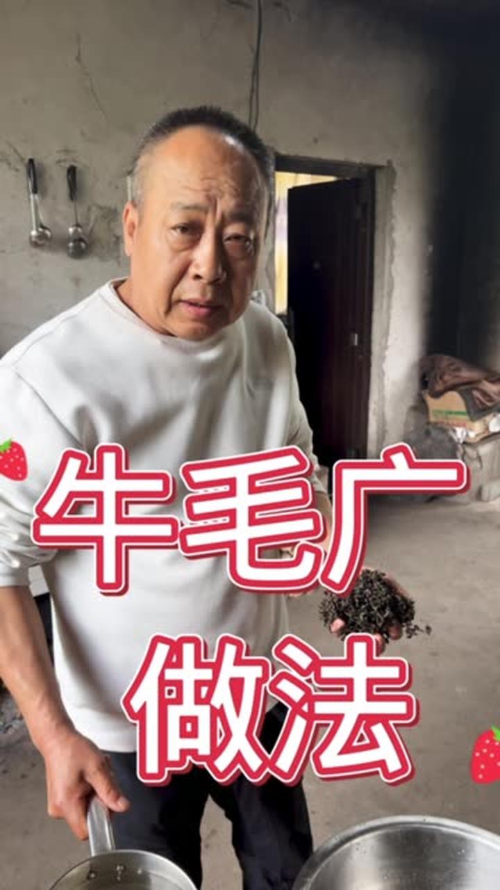 大自然美食之首,牛毛广