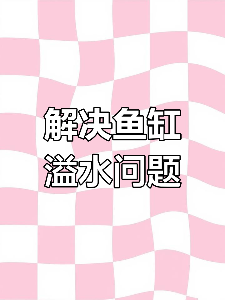 鱼缸干湿分离盒溢水问题解决技巧