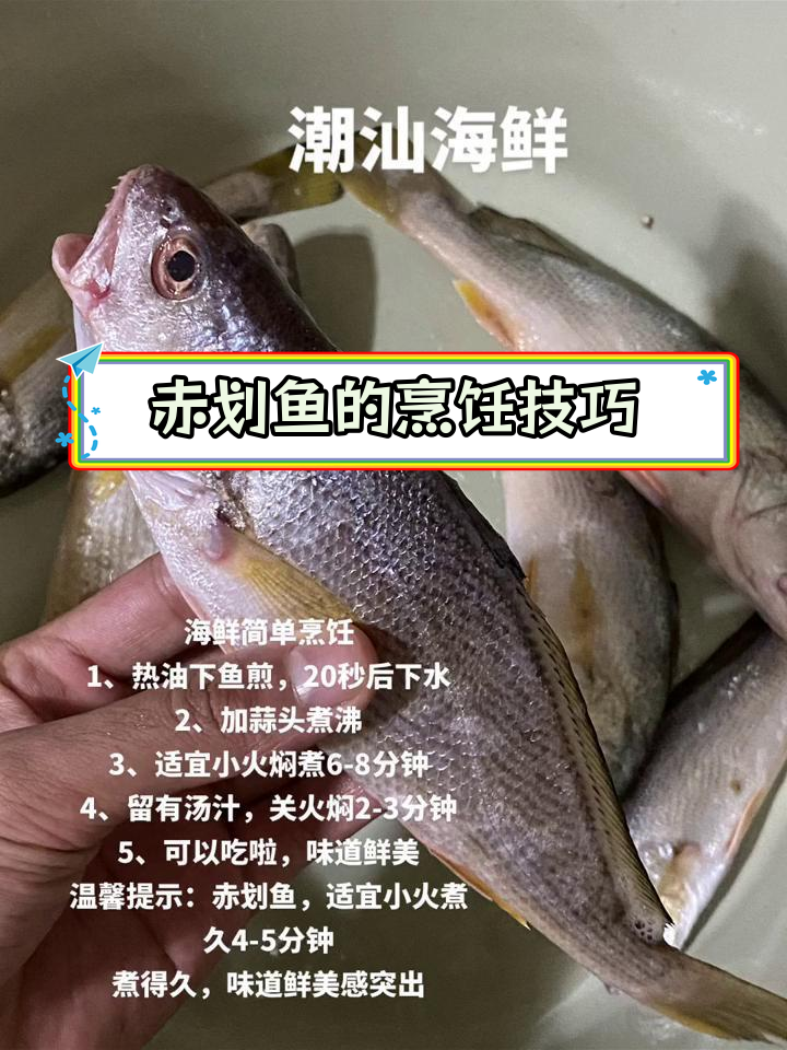 潮汕赤划鱼的家常做法,鲜美又简单