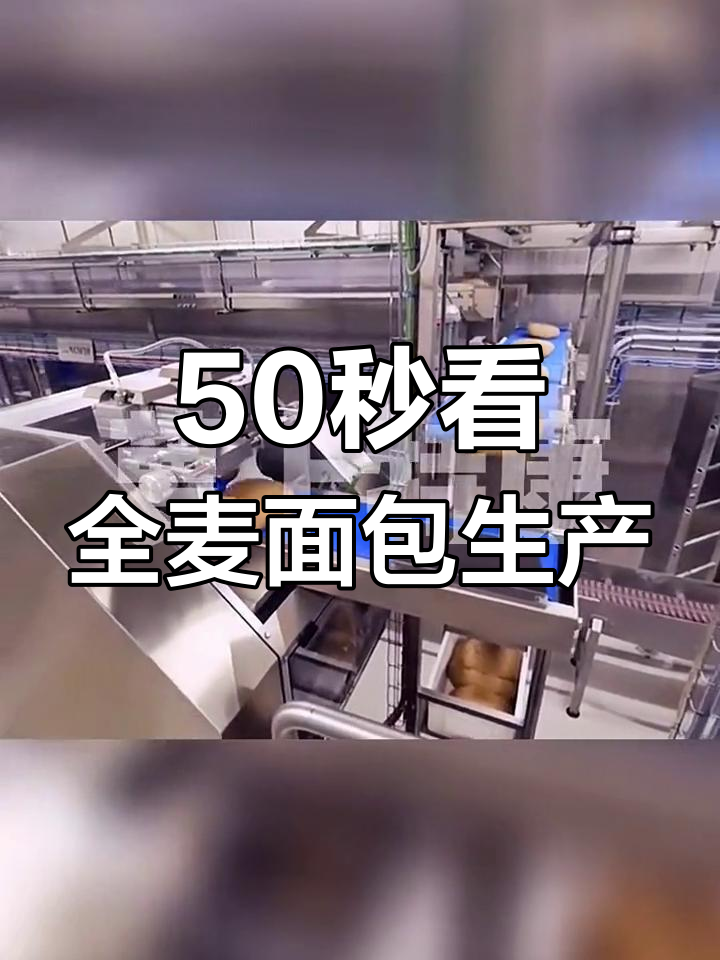 全麦面包自动化生产线揭秘,轻松了解制作过程