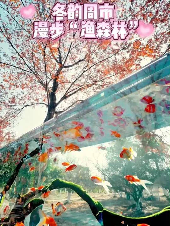 被昆山体育生态公园的“渔森林”狠狠种草，这周末就安排上！