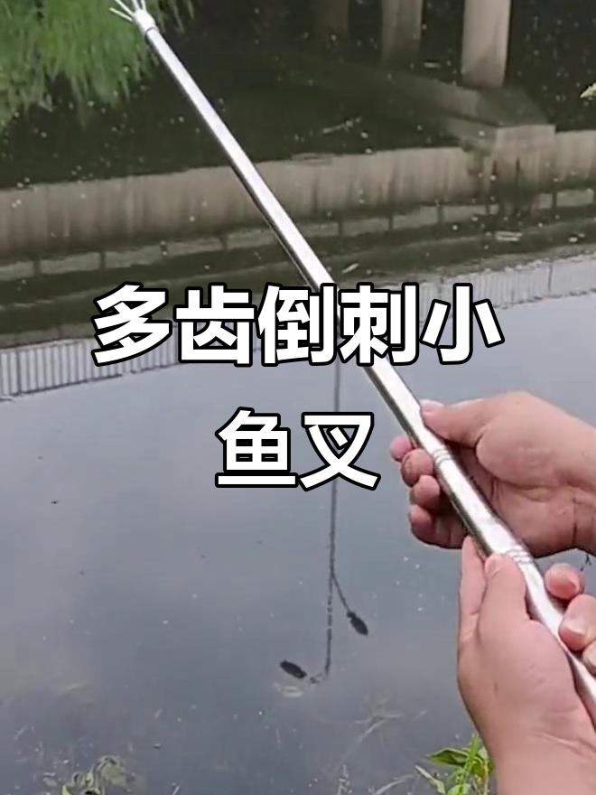 伸缩杆小鱼叉,轻松抓鱼虾