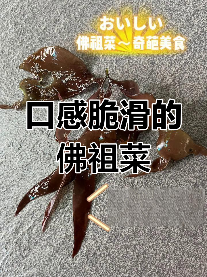 佛祖菜:海里野菜的独特美味,富含矿物质