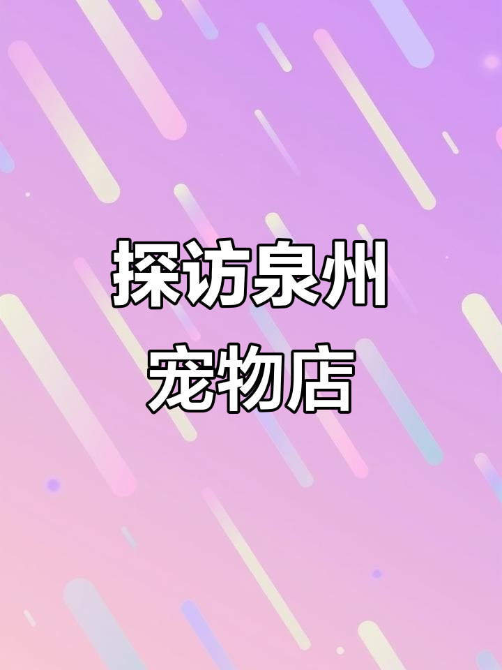 泉州宠物店内部大揭秘，带你看看门店的每个角落