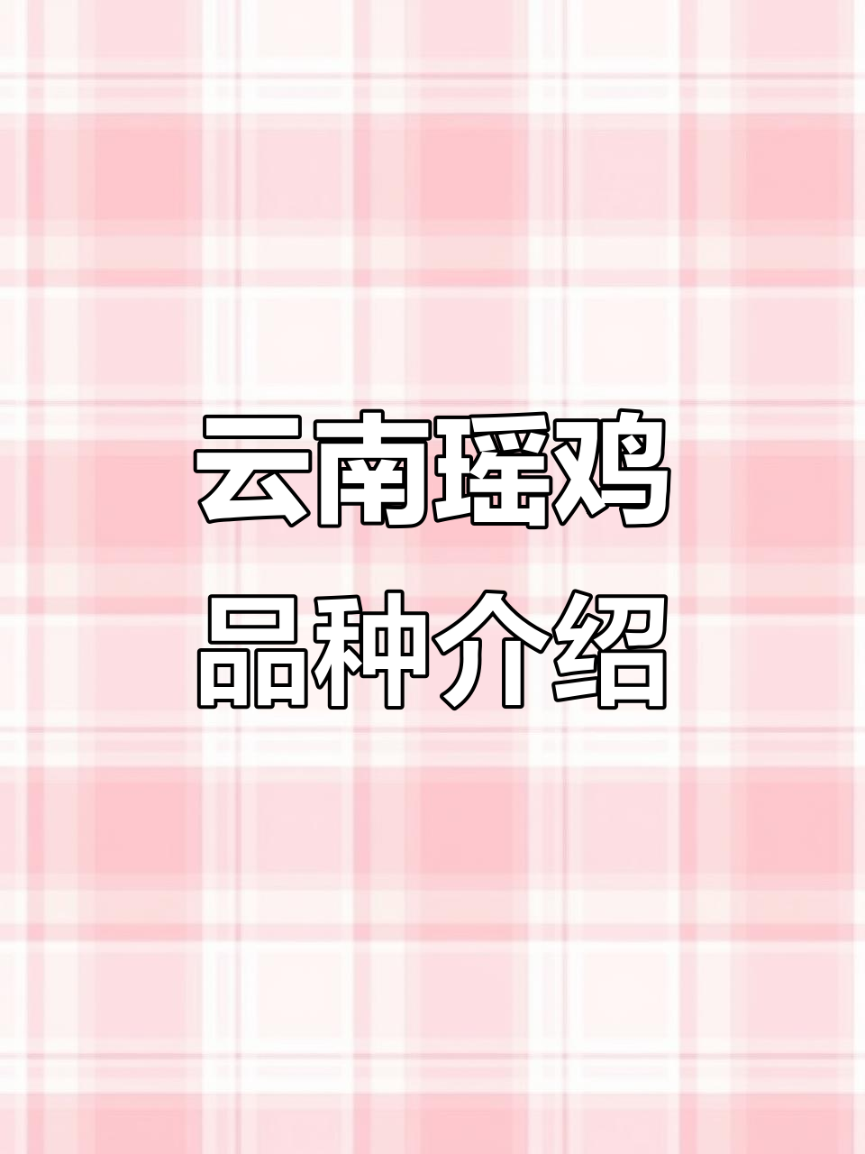 云南八大特色瑶鸡品种,农村散养土鸡创业指南