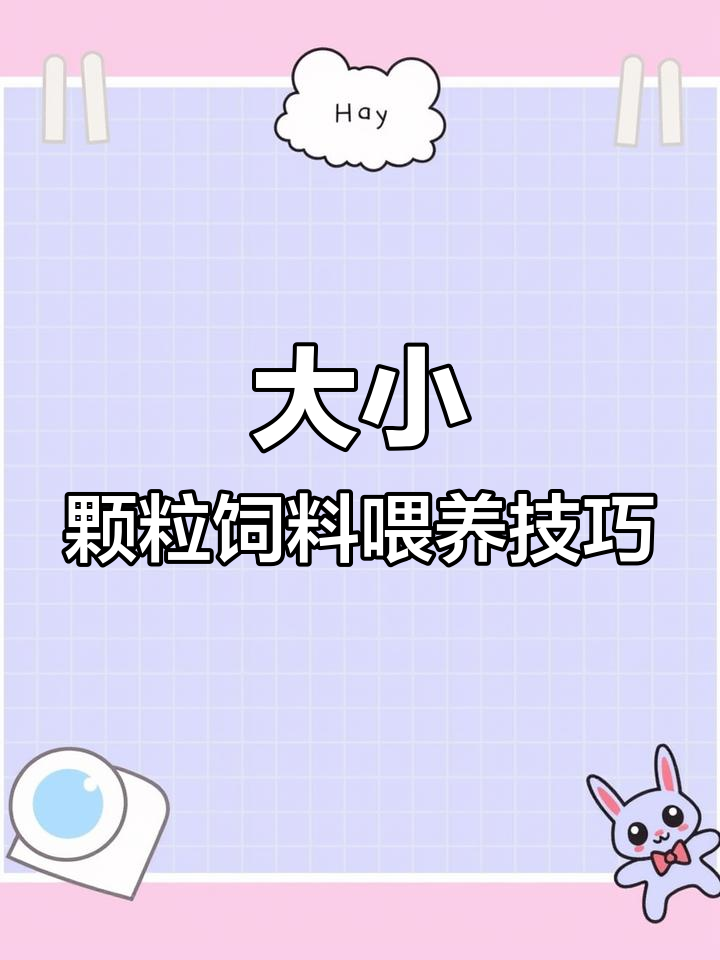 大鱼小鱼混养,如何喂食?