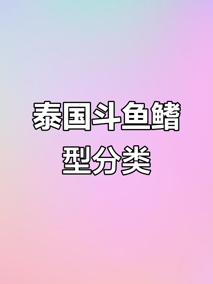 泰国斗鱼鳍型全解析:从马尾到狮王,饲养难度一览