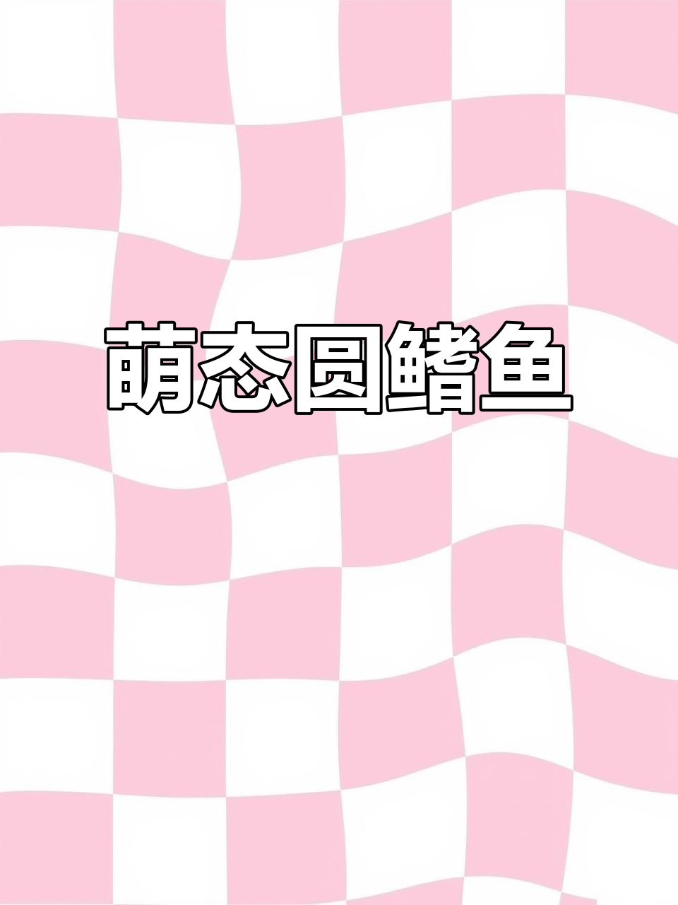 圆鳍鱼腹鳍成吸盘,萌态十足,宛如波妞的可爱化身