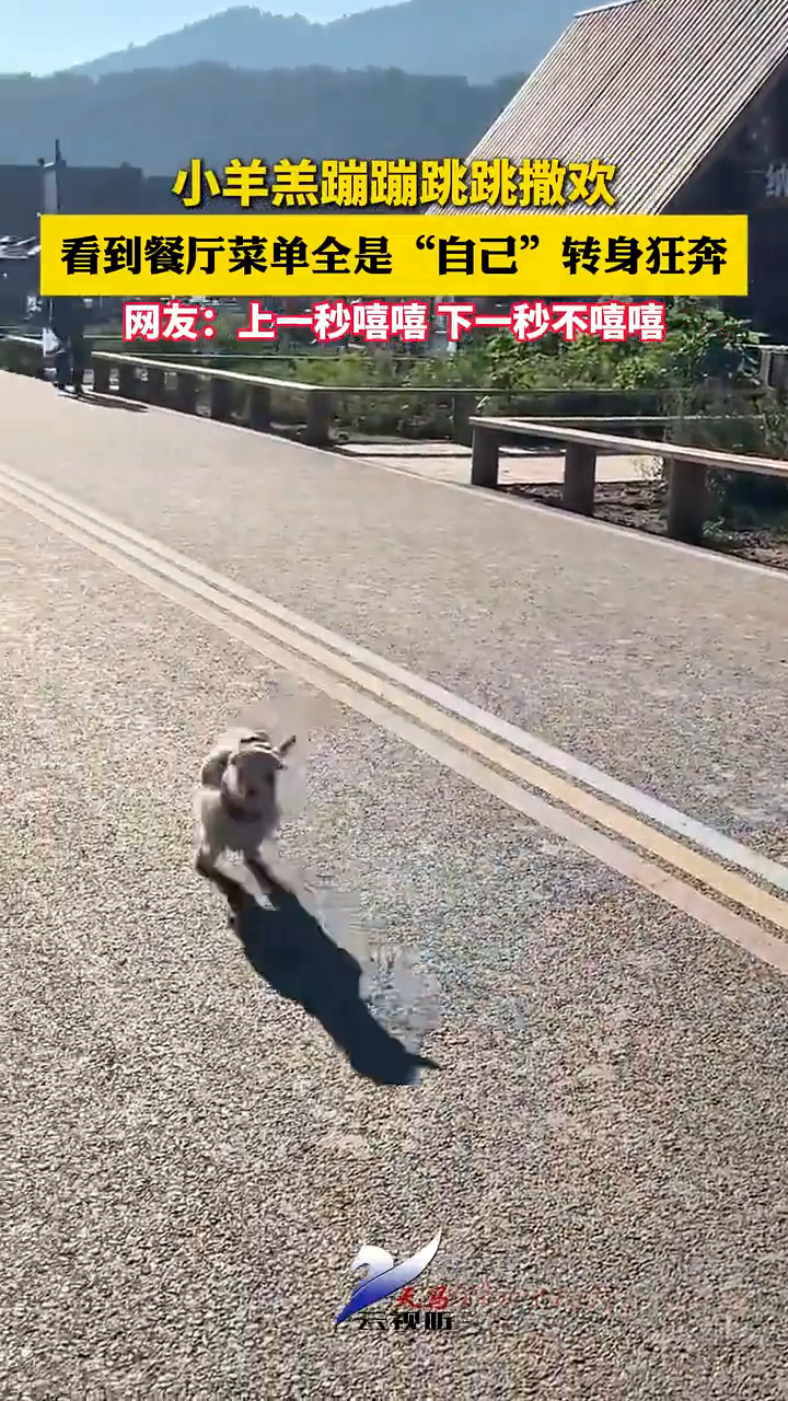 小羊羔蹦蹦跳跳撒欢,看到餐厅菜单全是“自己”,转身狂奔