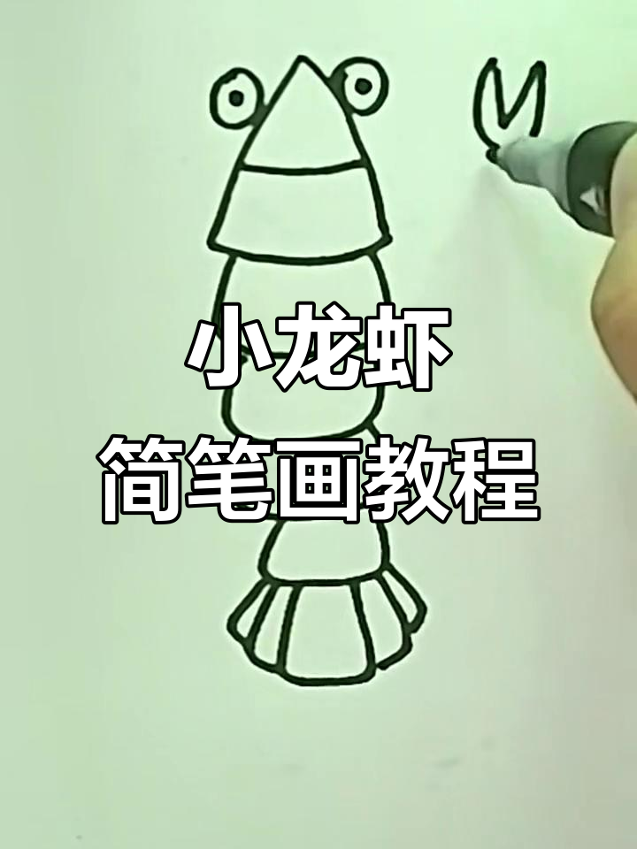 轻松学画小龙虾,步骤简单又有趣
