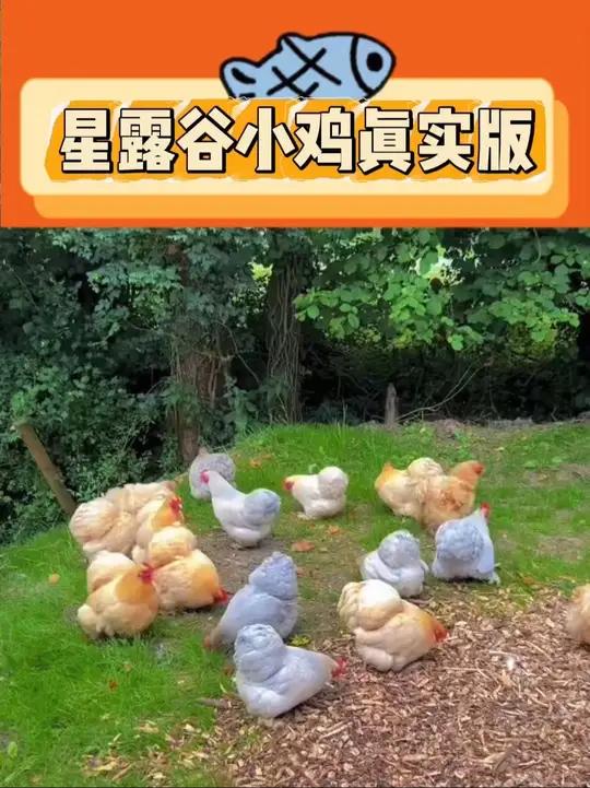 星露谷诚不欺我!