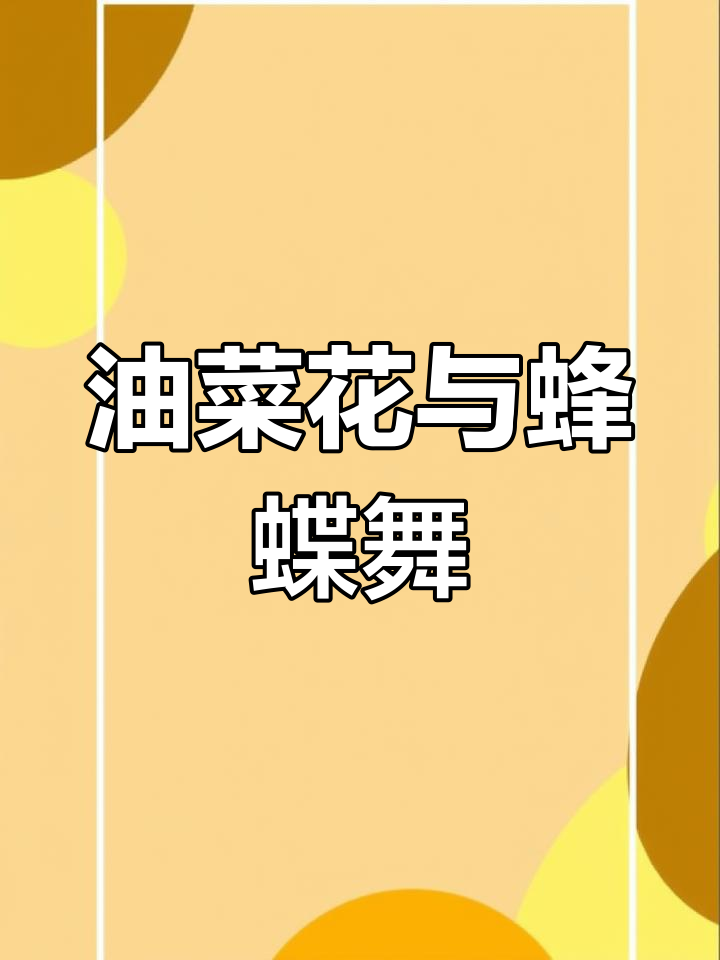 三月油菜花开,蜂蝶飞舞,春日美景尽显