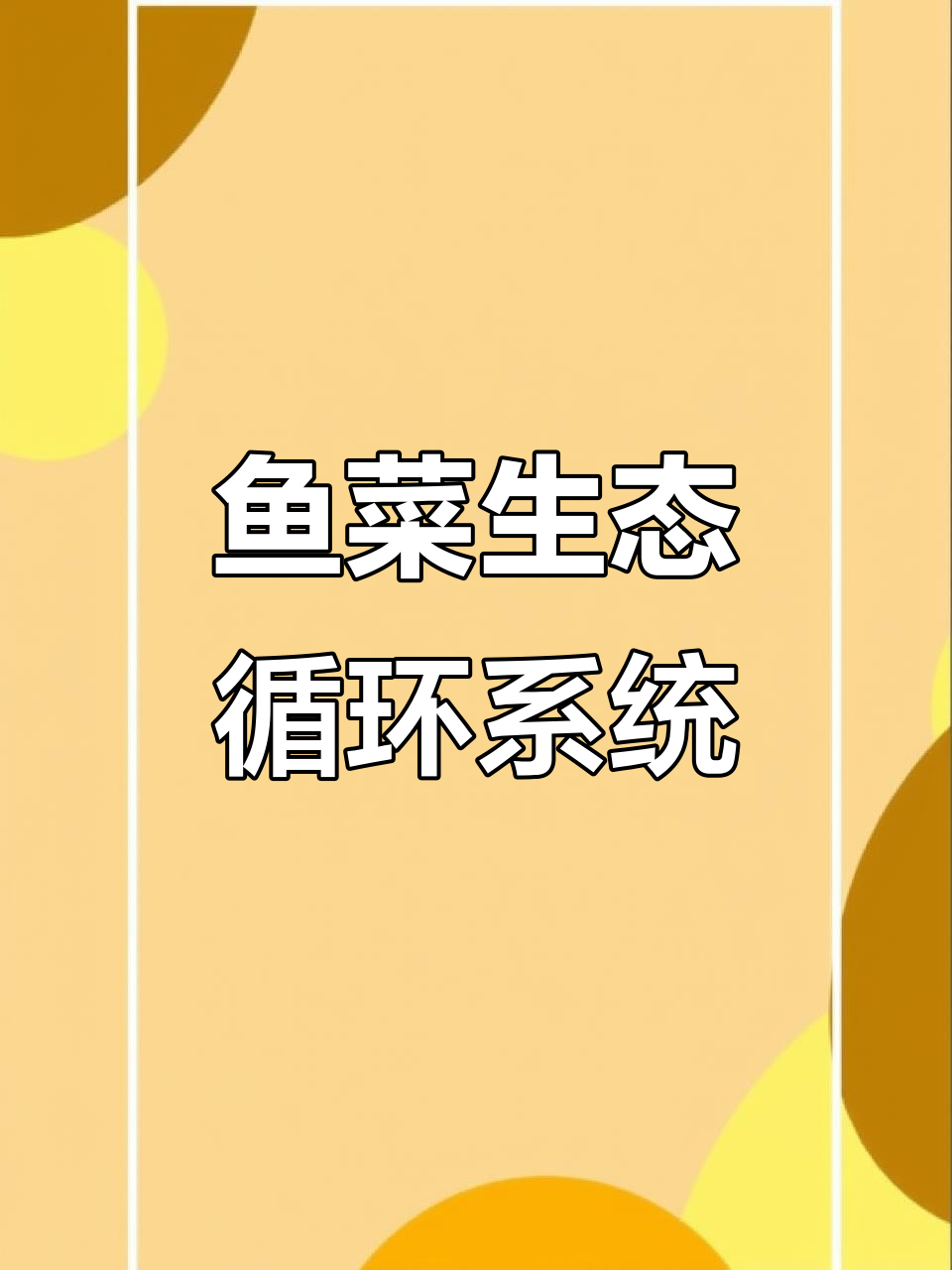 小型鱼菜共生系统试运行,水培蔬菜与鱼类循环共存