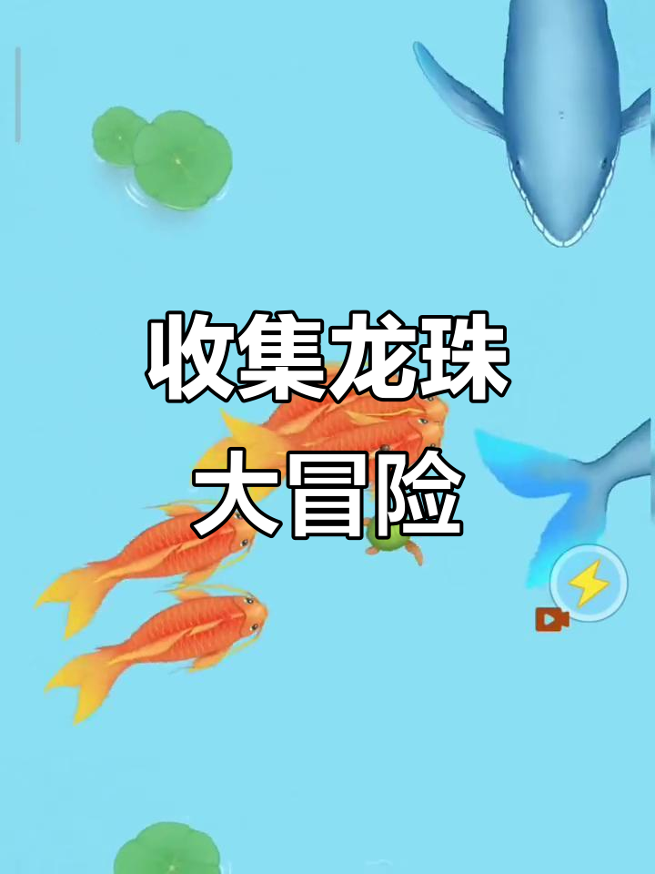 小青蛙和朋友们一起找龙珠，大红鲤鱼和蓝天群也加入了冒险！