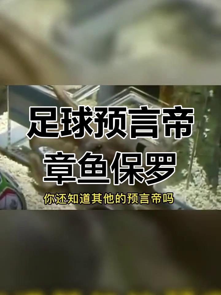 章鱼保罗:从世界杯预言帝到水族馆的传奇