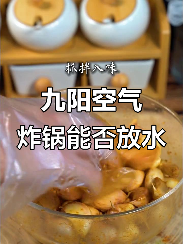 九阳空气炸锅能加水吗?使用技巧大揭秘