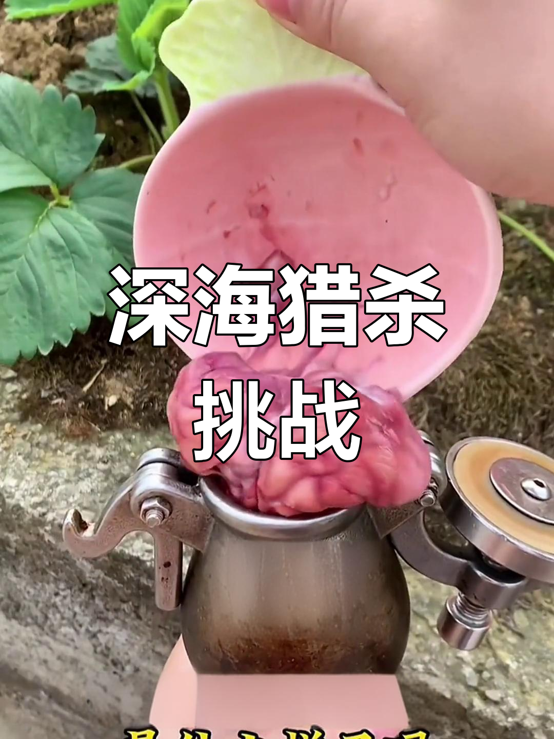 深海大猎杀:挑战食人鱼和千年鳄鱼,谁能称霸海洋?