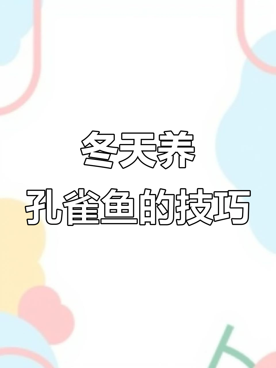 冬季孔雀鱼如何过冬?减少喂食、勤换水,注意保暖
