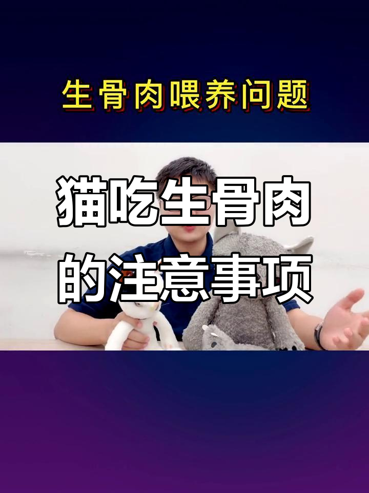 生骨肉喂养猫咪,利与弊如何权衡?