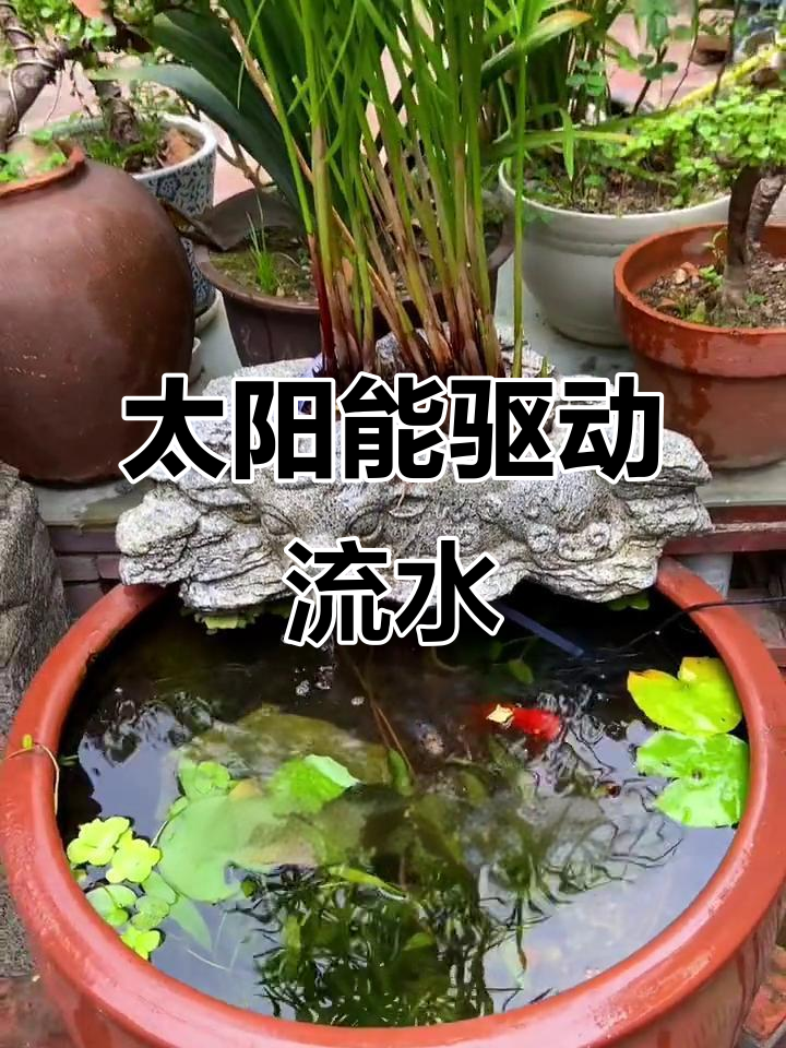 2023年,太阳能水泵让鱼缸水流动起来!