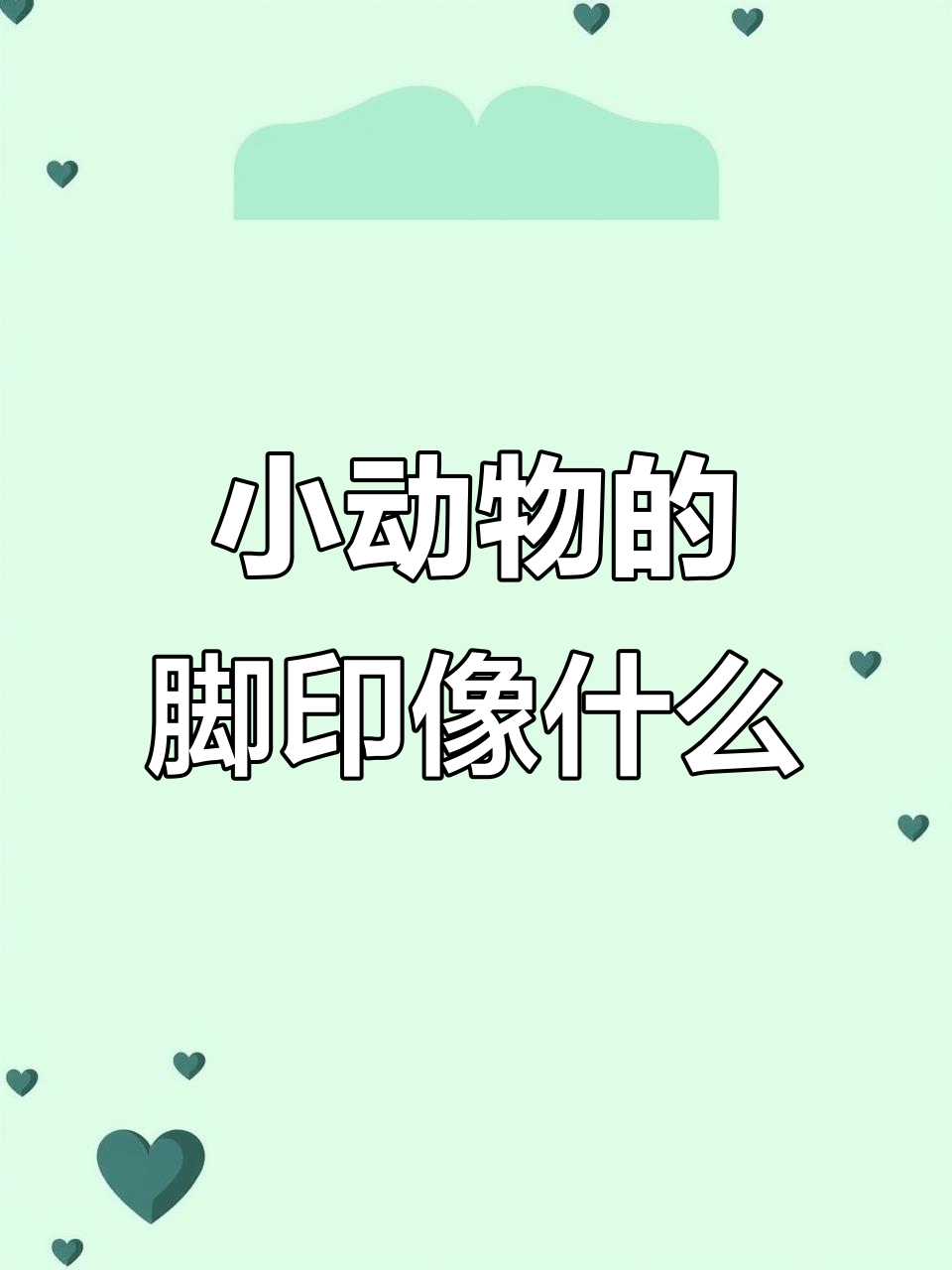 雪地里的小画家：动物脚印大比拼