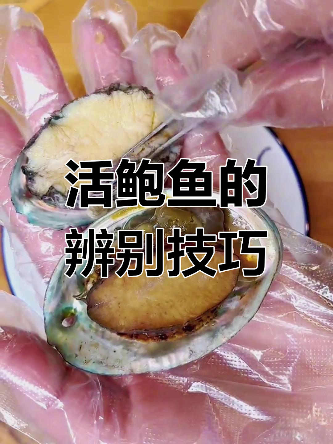 如何挑选新鲜鲍鱼,避免水发陷阱
