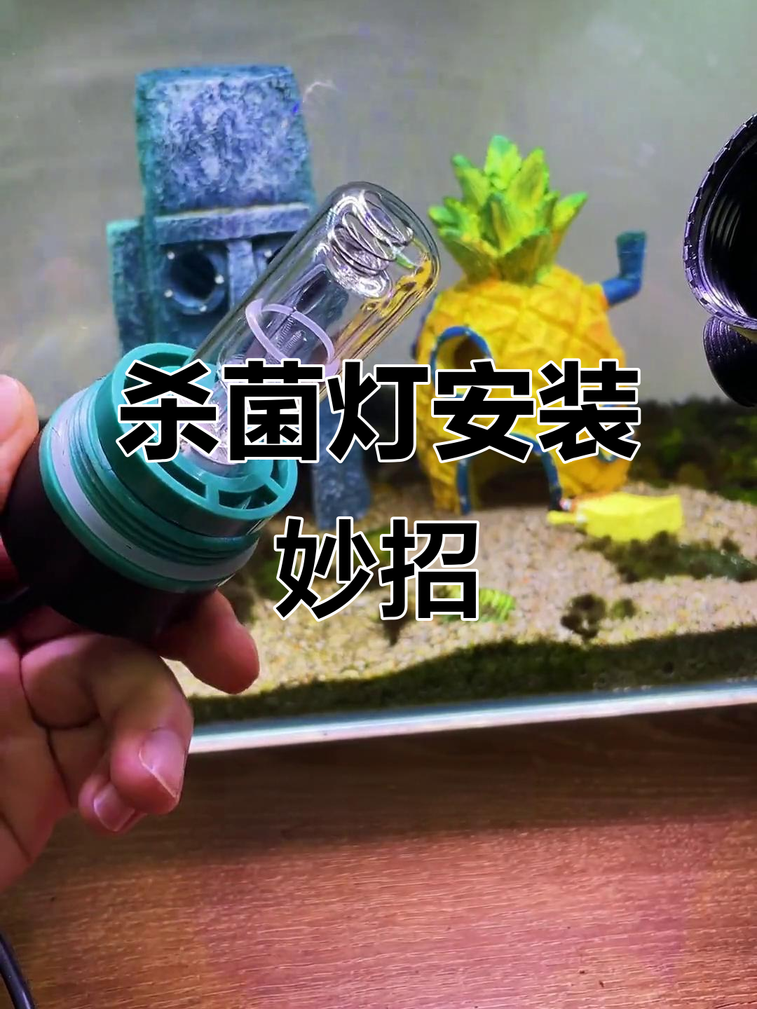 小鱼缸杀菌灯安装难题,31秒教你巧妙解决!
