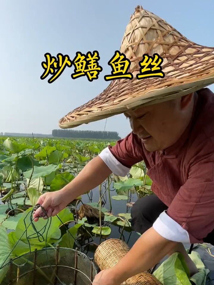 微山湖炒鳝鱼丝分享给大家
