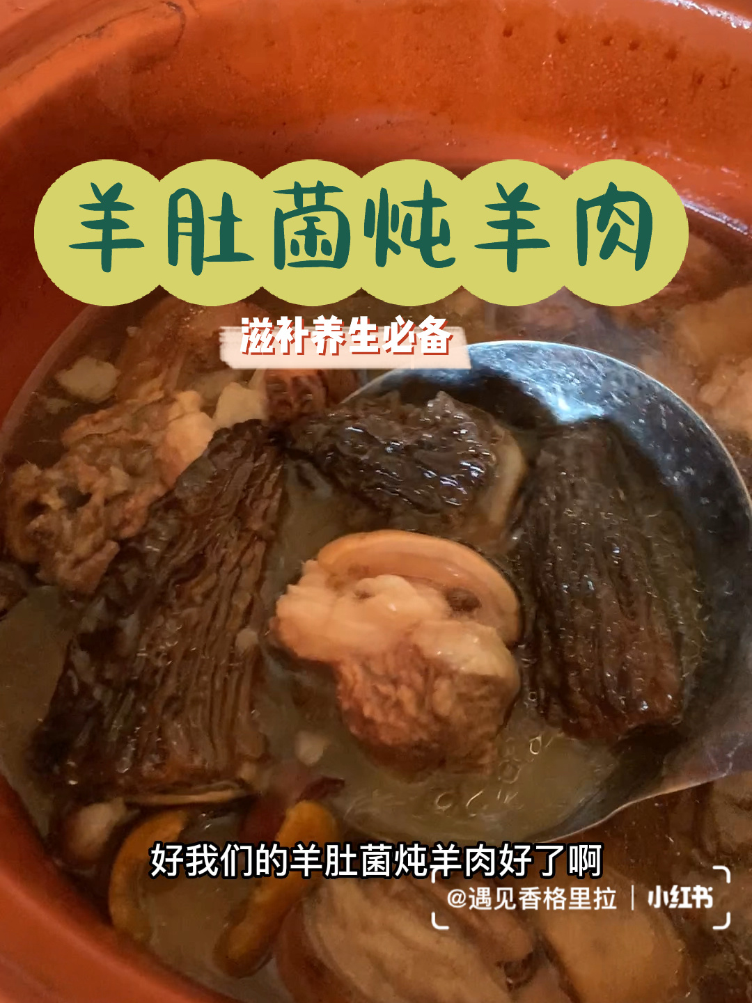 给爸妈炖一锅羊肚菌羊肉汤