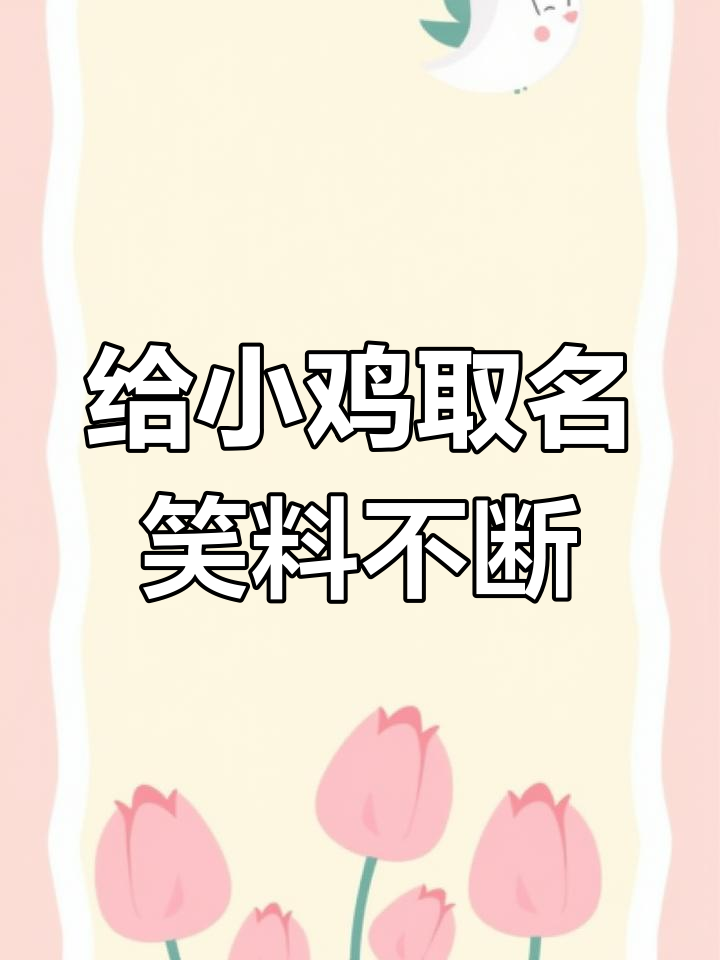 小鸡名字大比拼,赵同学、杨同学的创意太搞笑!